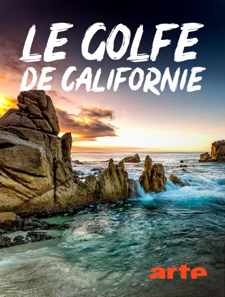 Arte - Le golfe de Californie - 05/09/2024 à 11h51