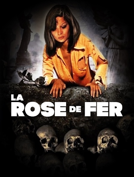 La rose de fer