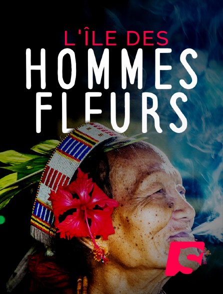 Spicee - L'île des hommes fleurs