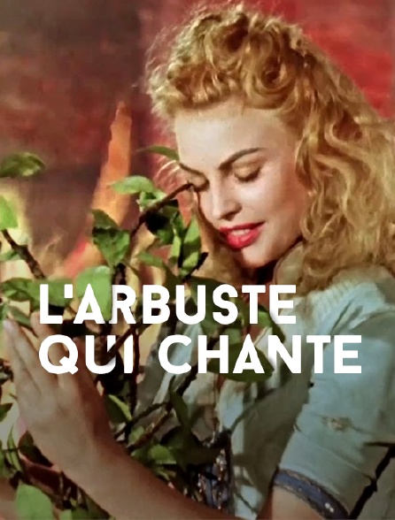 L'arbuste qui chante