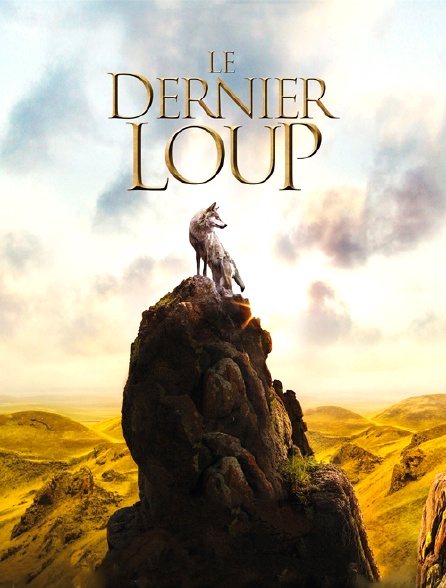 Le dernier loup