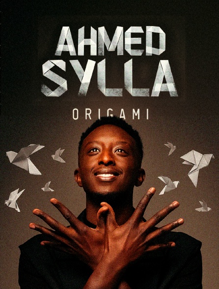 Ahmed Sylla : Origami