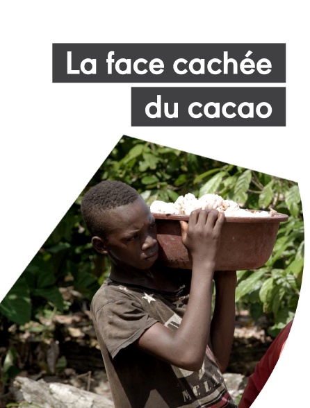 La face cachée du cacao