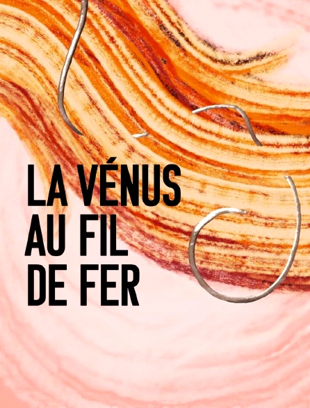 La Vénus au fil de fer