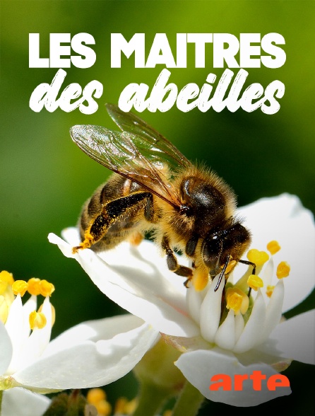 Arte - Les maîtres des abeilles - 12/09/2024 à 12h51