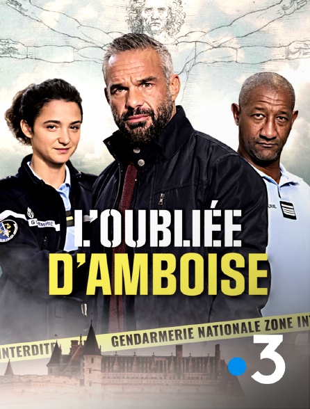 France 3 - L'oubliée d'Amboise