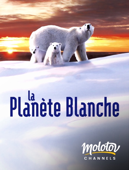 Molotov channels - La planète blanche