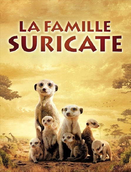 La famille Suricate