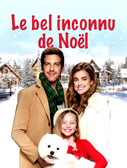 Le bel inconnu de Noël