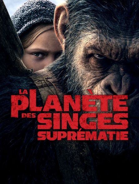 La planète des singes : suprématie