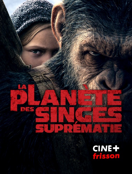 CINE+ Frisson - La planète des singes : suprématie