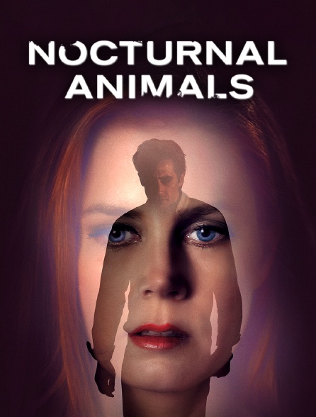 Nocturnal Animals