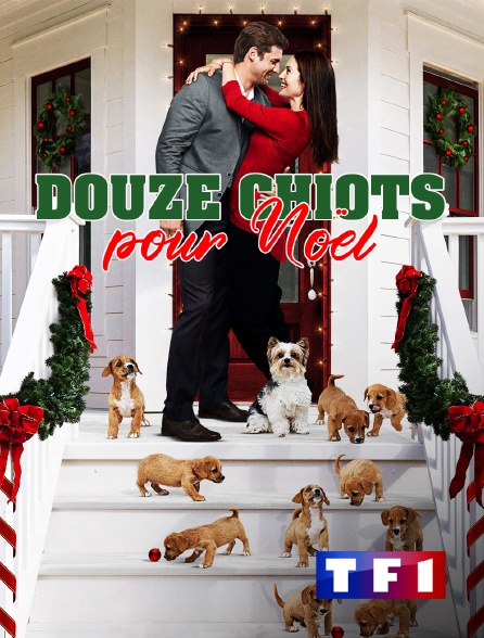 TF1 - Douze chiots pour Noël