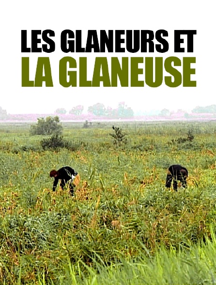 Les glaneurs et la glaneuse