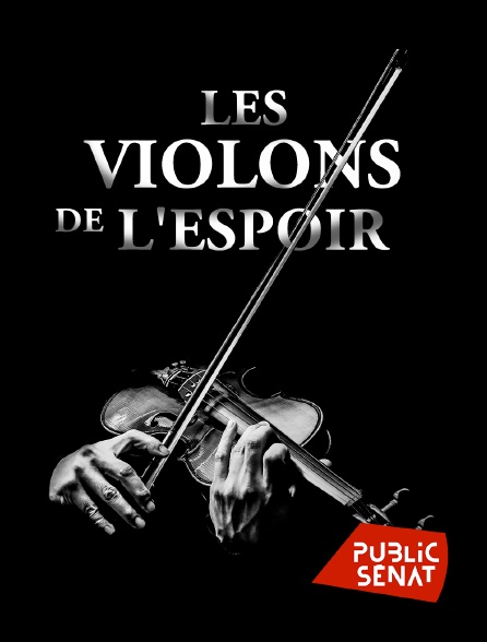 Public Sénat - Les violons de l'espoir