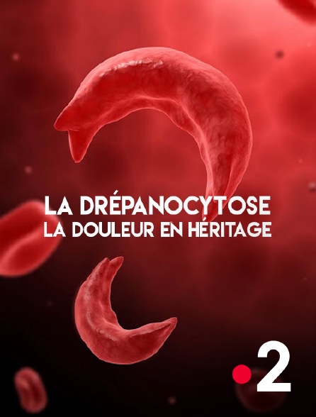 France 2 - La drépanocytose, la douleur en héritage