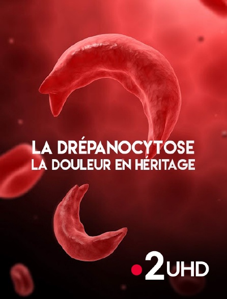 France 2 UHD - La drépanocytose, la douleur en héritage