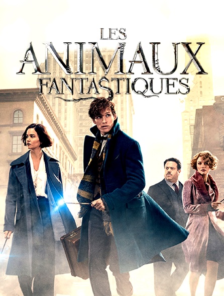 Les animaux fantastiques