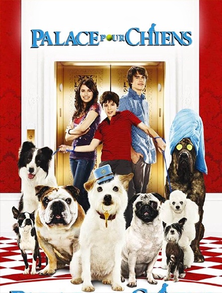 Palace pour chiens