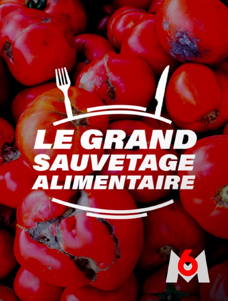 M6 - Le grand sauvetage alimentaire