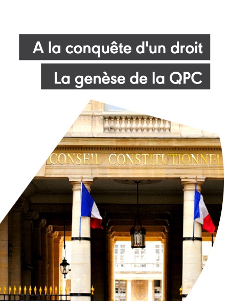 A la conquête d'un droit, la genèse de la QPC