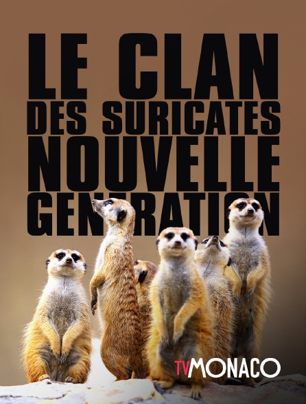 TV Monaco - Le clan des suricates, nouvelle génération - 20/09/2024 à 15h30