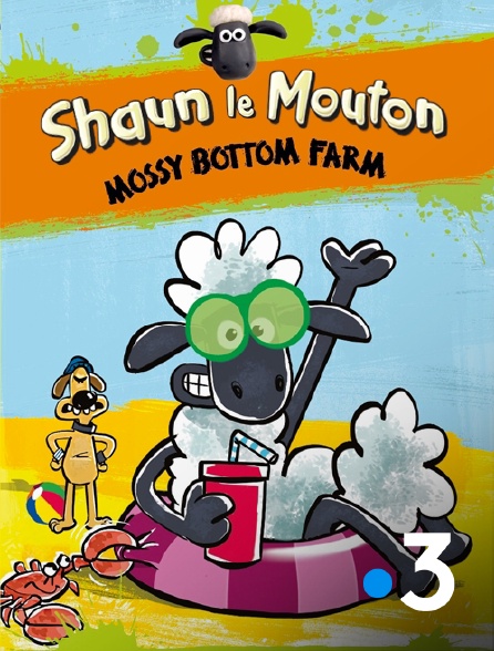 France 3 - Shaun le mouton : Mossy Bottom Farm - S01E12