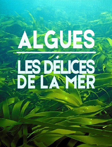 Algues : les Délices de la Mer