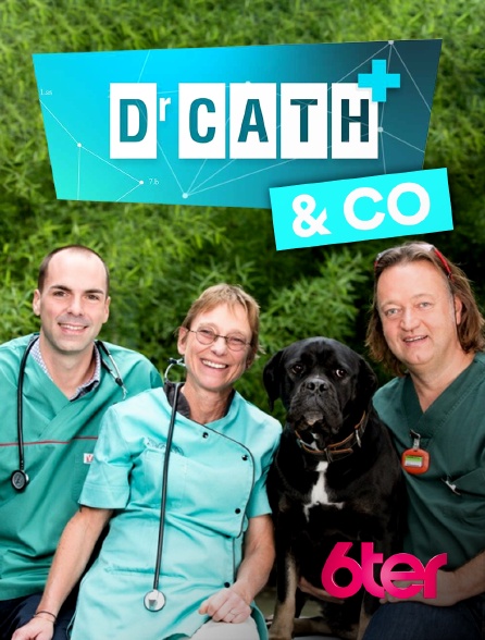 6ter - Dr Cath & Co