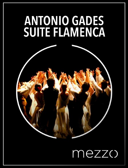 Mezzo - Antonio Gades : Suite Flamenca