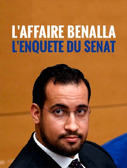 L'affaire Benalla, l'enquête du Sénat