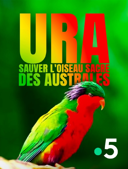 France 5 - Ura, sauver l'oiseau sacré des australes