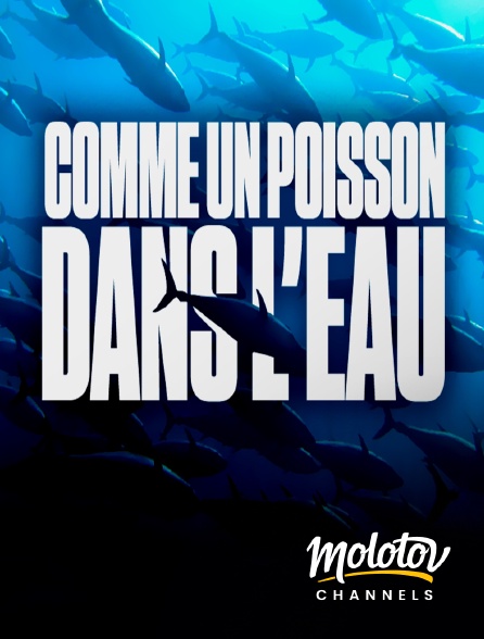 Molotov channels - Comme un poisson dans l'eau