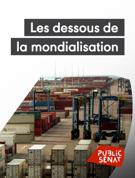 Public Sénat - Les dessous de la mondialisation