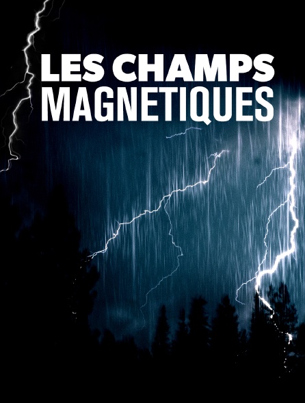 Les champs magnétiques