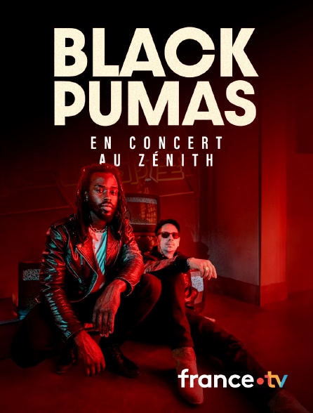 France.tv - Black Pumas en concert au Zénith de Paris