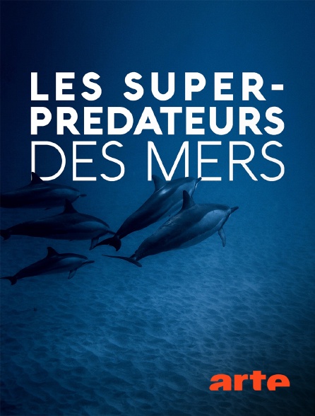 Arte - Les super-prédateurs des mers - 18/09/2024 à 15h50