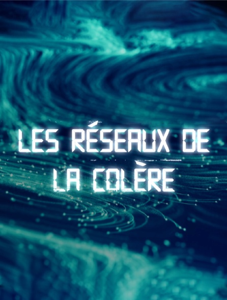 Les réseaux de la colère