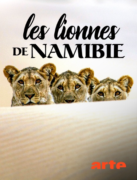 Arte - Les lionnes de Namibie : Reines de la côte des Squelettes