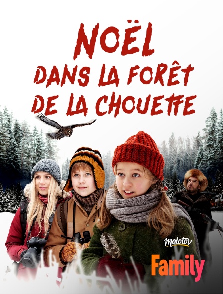 Molotov Channels Family - Noël dans la forêt de la chouette