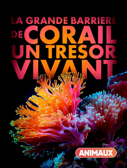 Animaux - La grande barrière de corail : un trésor vivant - 04/10/2024 à 18h00