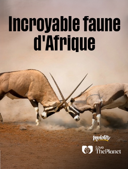 Love the Planet - Incroyable faune d'Afrique - 20/09/2024 à 04h17