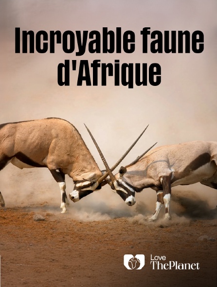 Love the Planet - Incroyable faune d'Afrique