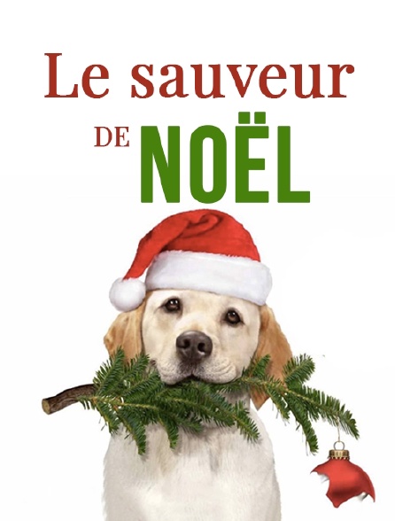 Le sauveur de Noël