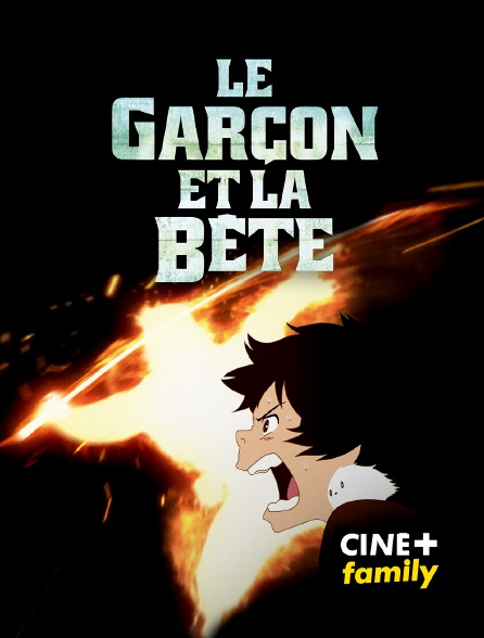 CINE+ Family - Le garçon et la bête