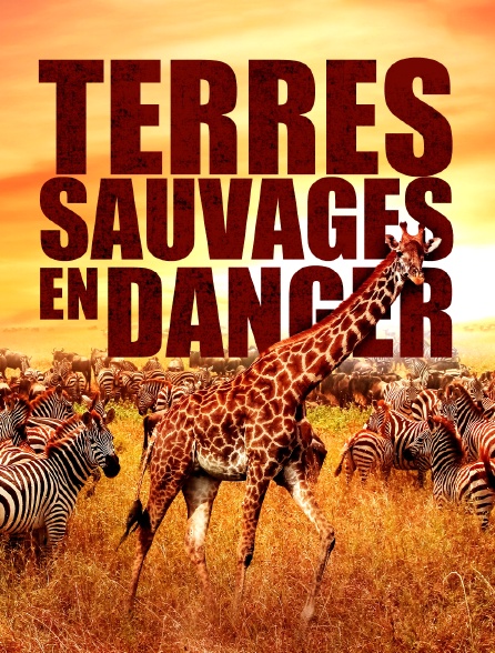 Terres sauvages en danger