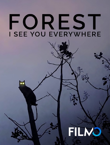 FilmoTV - Forest - I See You Everywhere