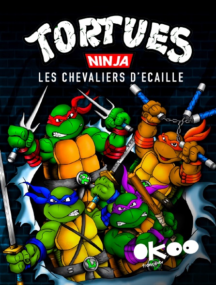 Okoo - Tortues Ninja : les chevaliers d'écaille