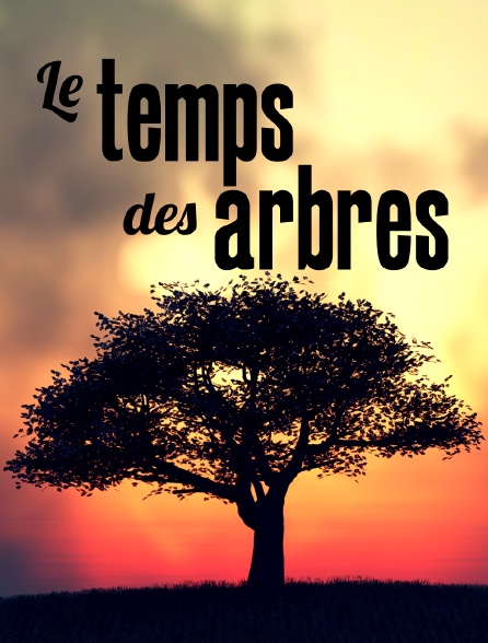 Le temps des arbres