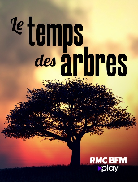 RMC BFM Play - Le temps des arbres